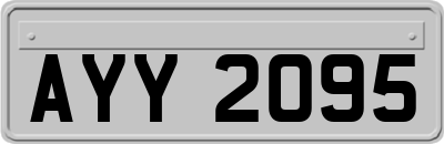 AYY2095