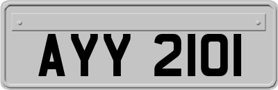 AYY2101