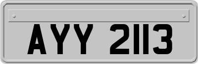 AYY2113