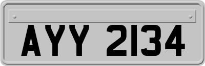 AYY2134