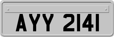 AYY2141