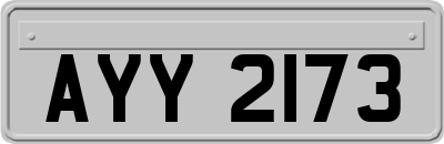 AYY2173