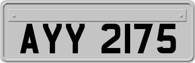 AYY2175