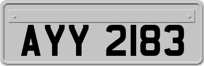 AYY2183