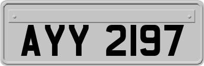 AYY2197