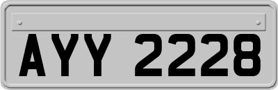 AYY2228