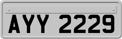 AYY2229