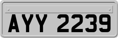 AYY2239