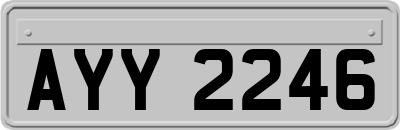 AYY2246