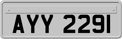 AYY2291