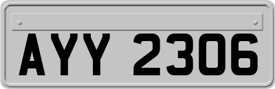 AYY2306