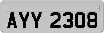 AYY2308
