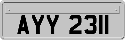 AYY2311