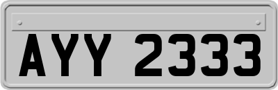 AYY2333