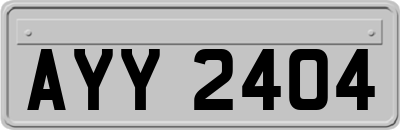 AYY2404