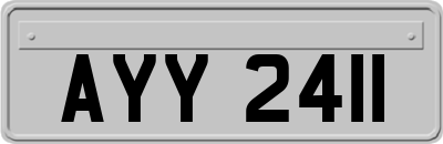 AYY2411