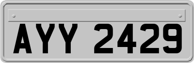 AYY2429