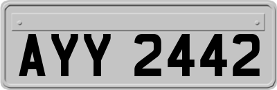 AYY2442