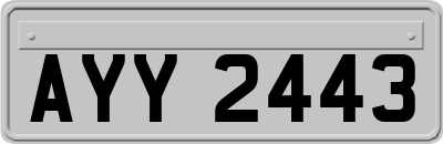 AYY2443