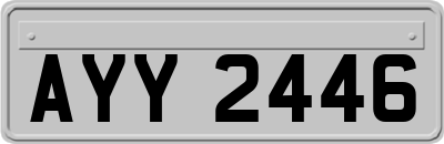 AYY2446