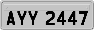 AYY2447