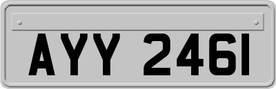 AYY2461