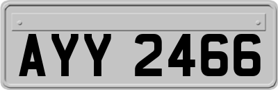 AYY2466