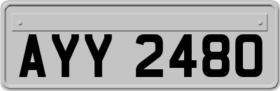 AYY2480