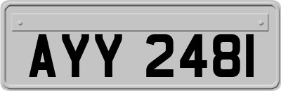 AYY2481