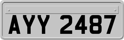 AYY2487
