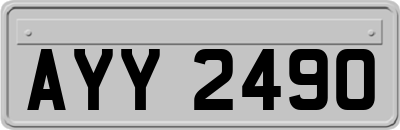 AYY2490
