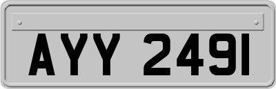 AYY2491