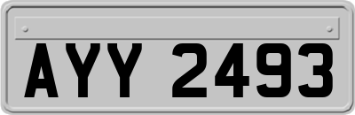 AYY2493