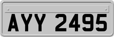 AYY2495