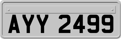 AYY2499