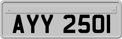 AYY2501