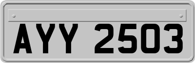 AYY2503