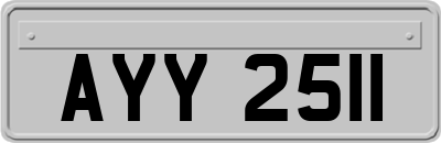 AYY2511