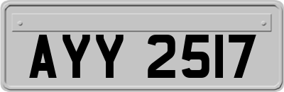 AYY2517
