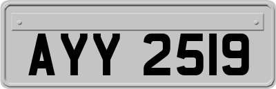 AYY2519