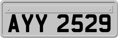 AYY2529
