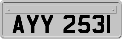 AYY2531