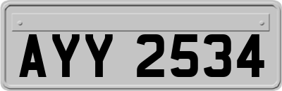 AYY2534