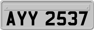 AYY2537