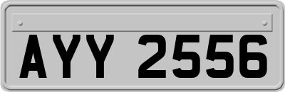 AYY2556