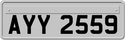 AYY2559