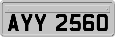 AYY2560