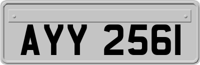 AYY2561