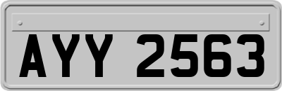 AYY2563