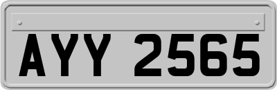AYY2565